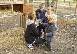 Parc Chédeville - Ferme pédagogique