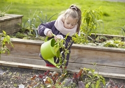 Parc Chédeville - Potager pédagogique