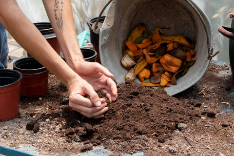 concept-de-nature-morte-de-compost