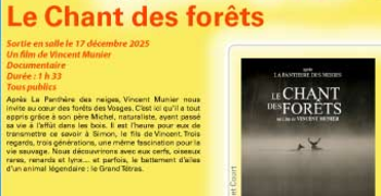 cine-Le-Chant-des-forêts-web